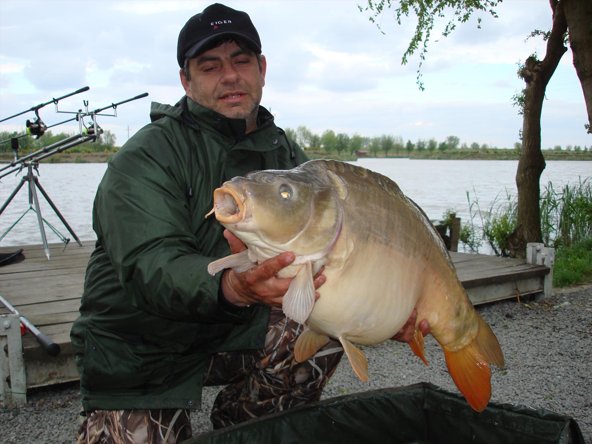 pescuit pe o balta superba - dsc06691.JPG